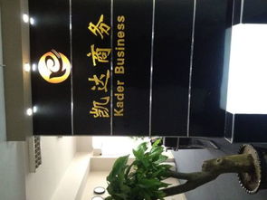 探索商务信息咨询的价值与作用